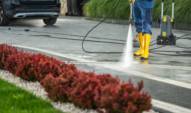 Best Sidewalk and Walkway Cleaning  in Walled Lake, MI